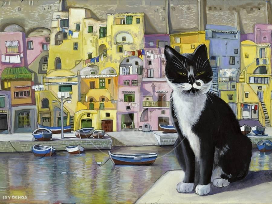 cat-in-corricella-italy-u-L-Q1-HALHQ0