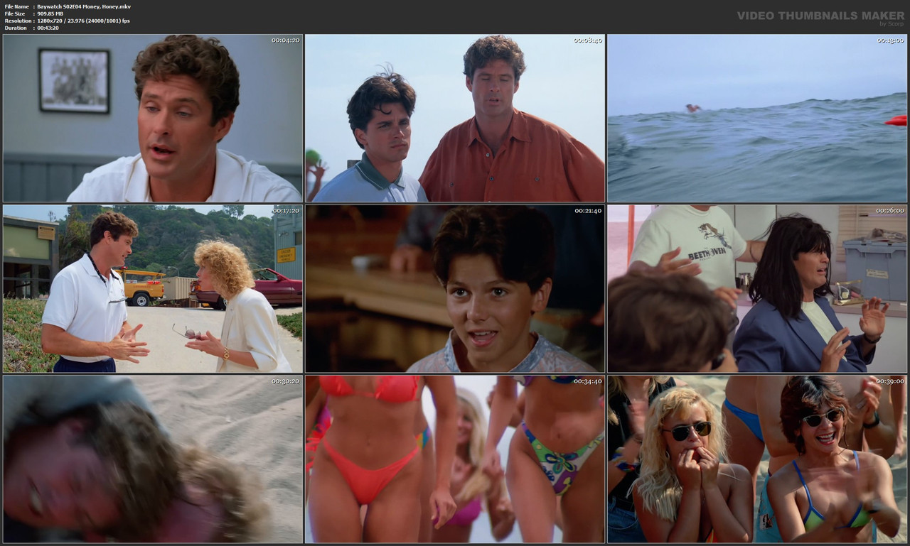 Baywatch S02E04 Money, Honey.mkv