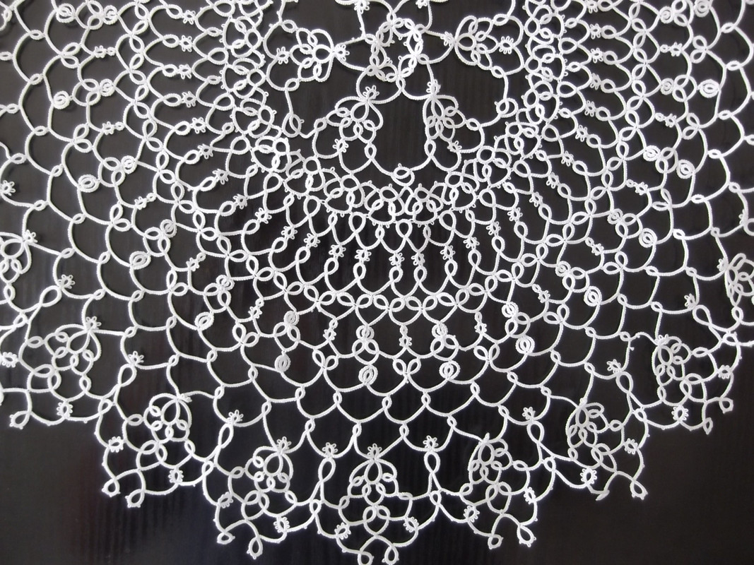 DSCF2087[1] Rząd 13