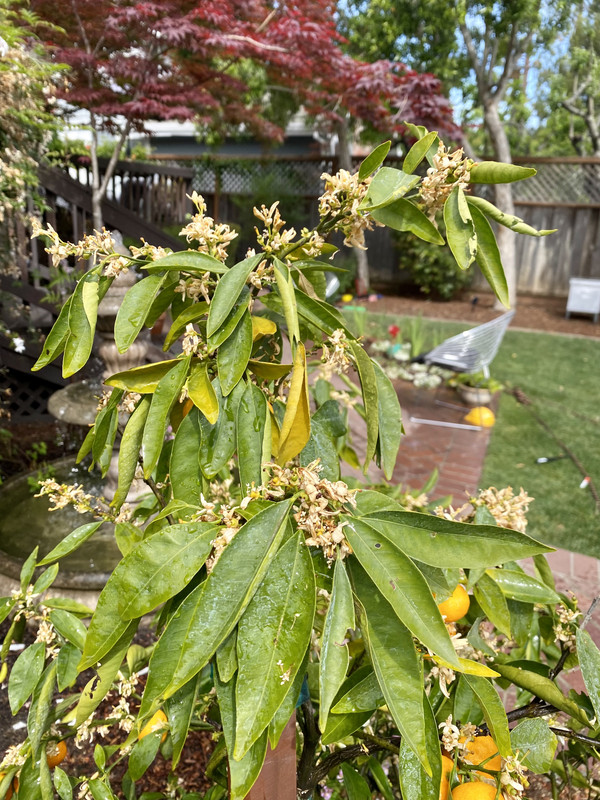 B7A07B93-4099-48F7-AEA4-AA7D2CF8132D