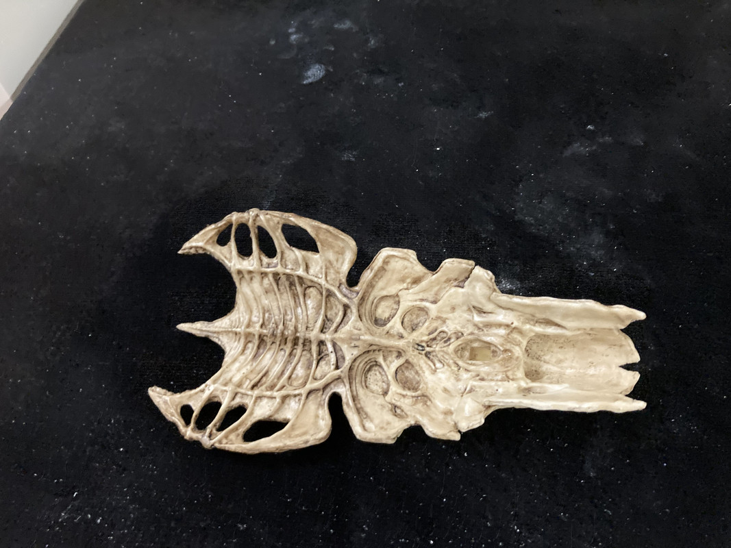 65D52A9B-74FC-4AE3-A3BB-CE4266714251