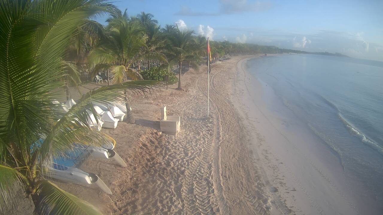 Algas en las playas de Riviera Maya (Sargazo) - Foro Riviera Maya y Caribe Mexicano
