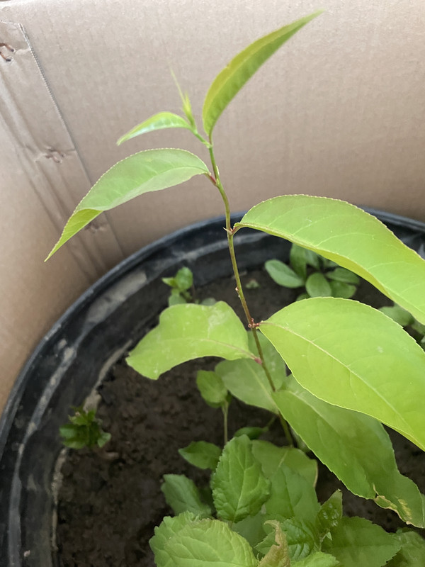 0C001E2A-239C-4264-8820-536831D03395