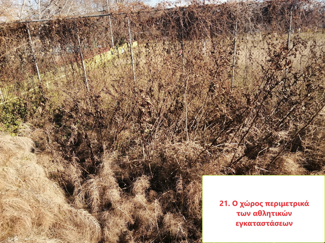 418991077-3544405652555211-8981733119625203436-n