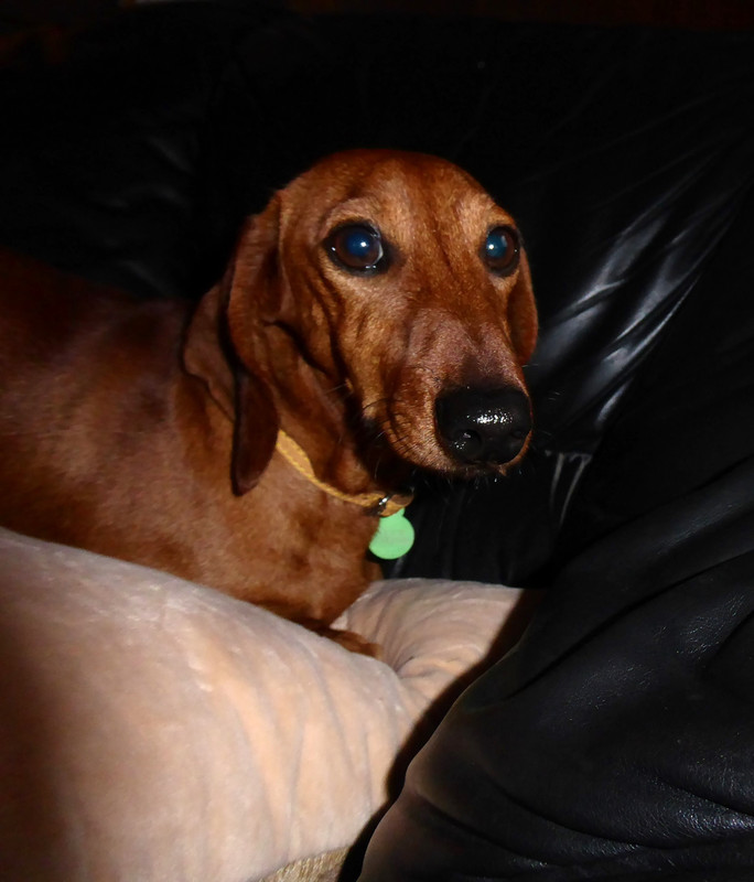 [Image: P1050377.jpg]