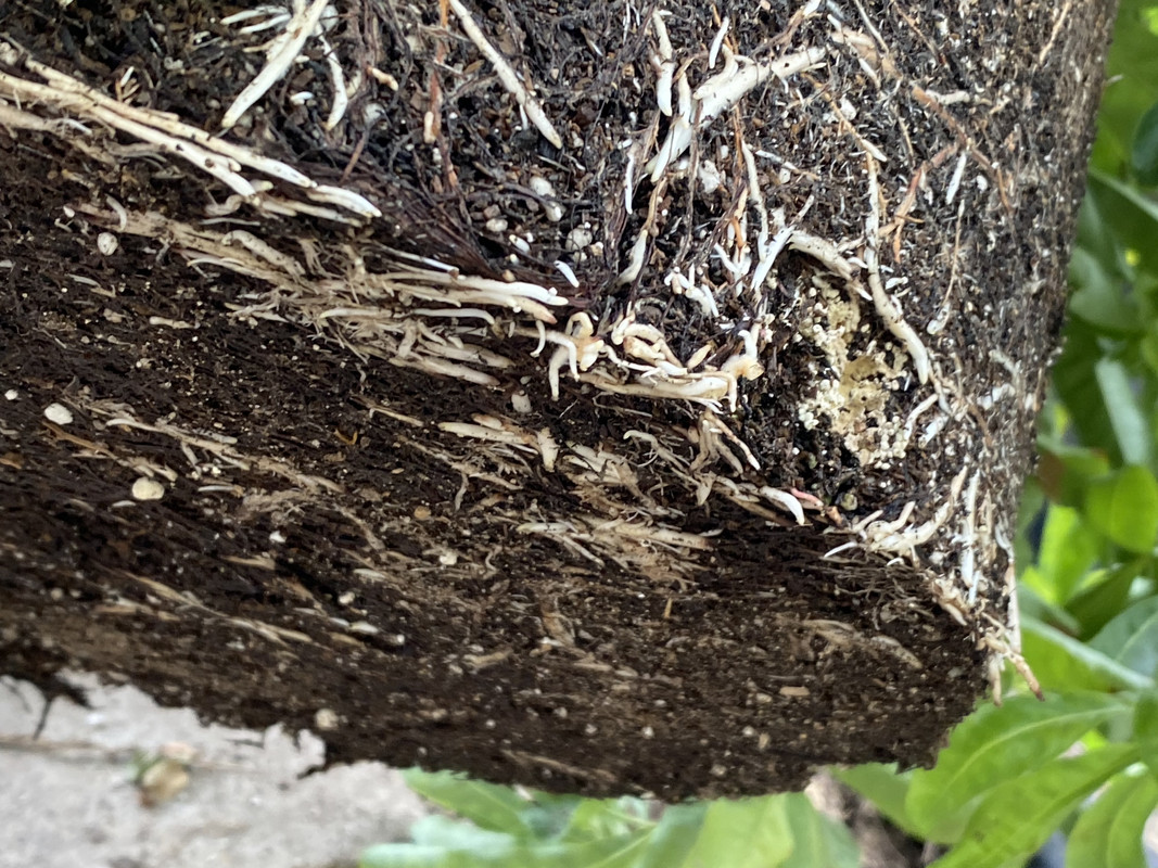 12D134B4-128B-4F5E-9A8A-3339CC3451EF