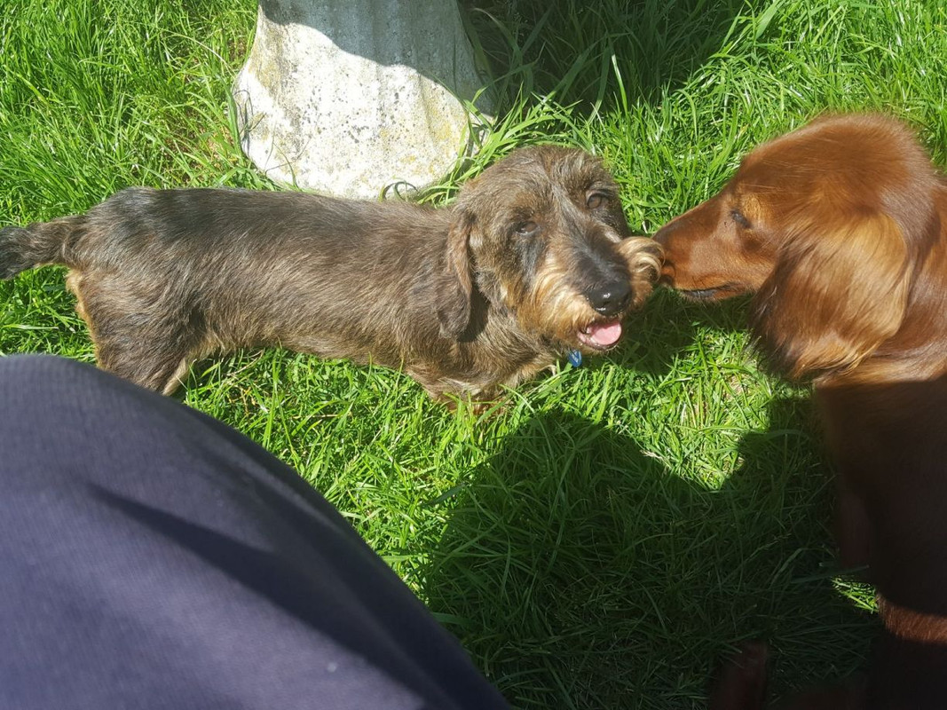 [Image: Resized-20210528-161432.jpg]