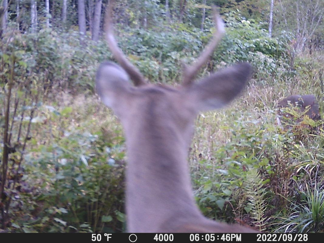 DSCF0071 (5)
