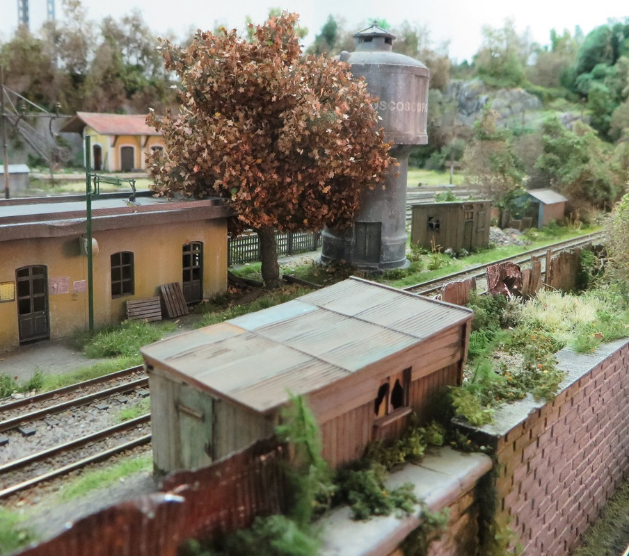 Alberi Boscoscuro giugno 2023 (21)