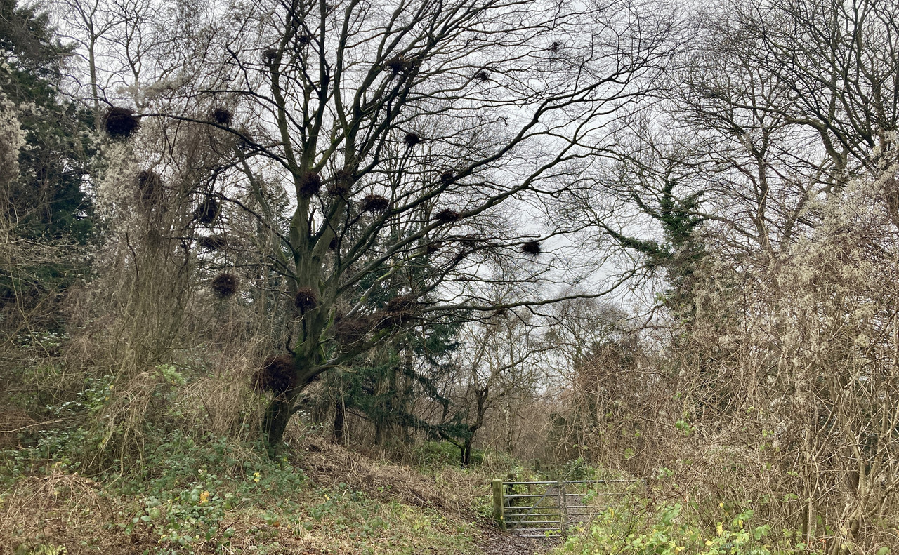 CDC26580-7E44-4294-836A-43F12830DB21