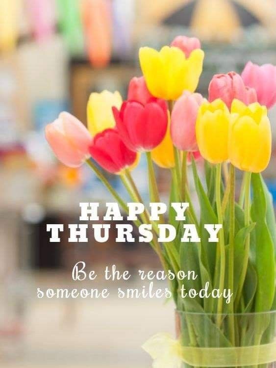 68e43081c8bdd52eef02ff1b9cd78f85