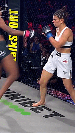 https://i.postimg.cc/YqWWqQ4q/ufc2.gif