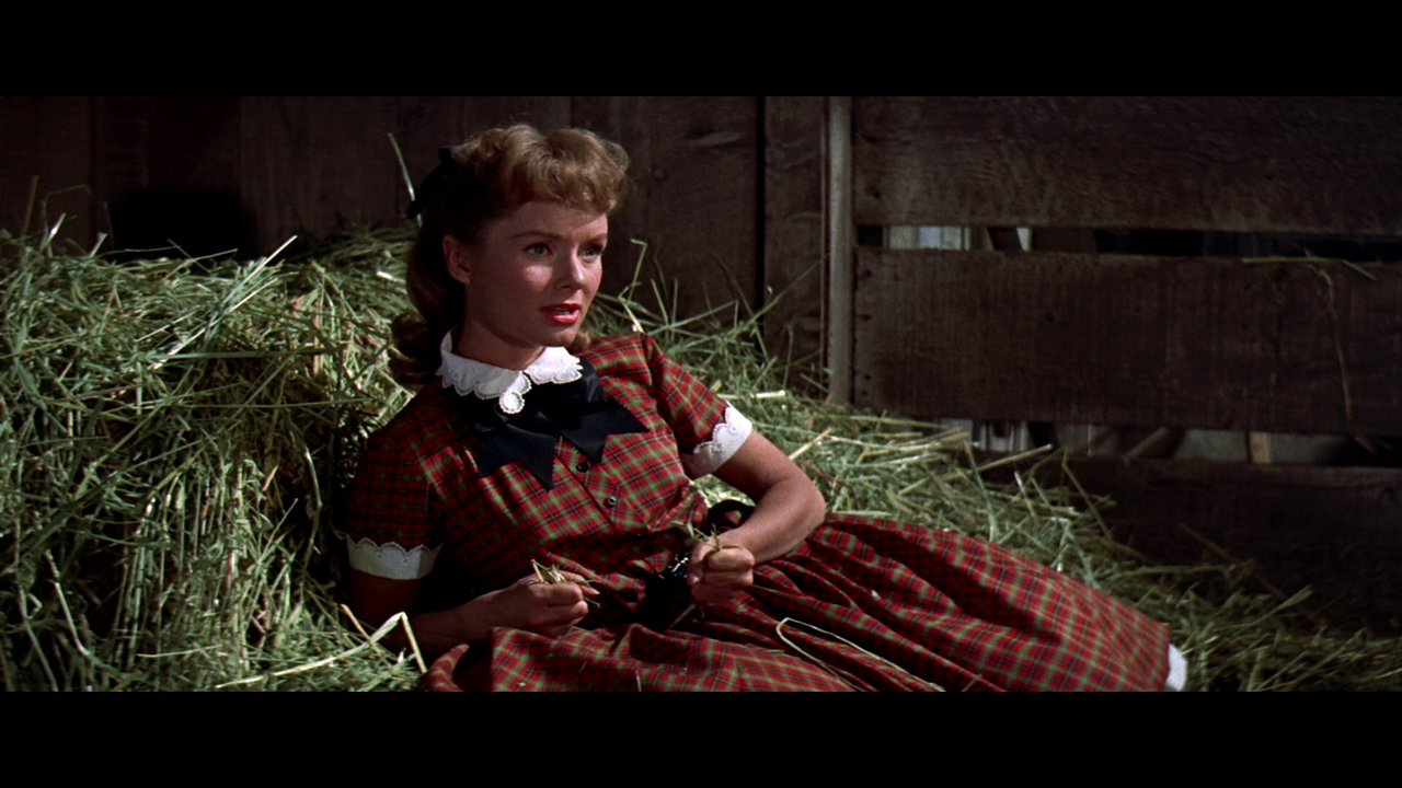 Snapshot-2019-05-28 at 12_32_37 PM-32419