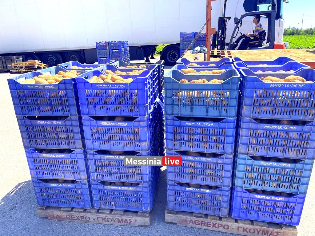 goumas-patates-IMG-5619