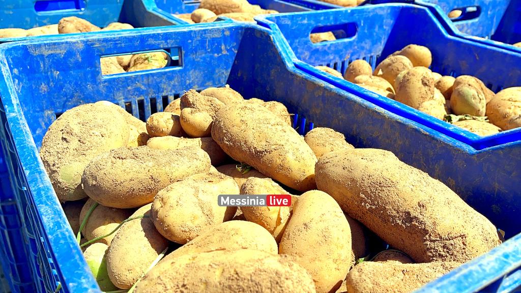 goumas-patates-IMG-5615