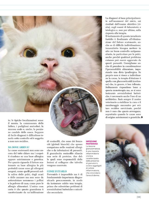 Ga Ma Ago-Set 2025 (12)