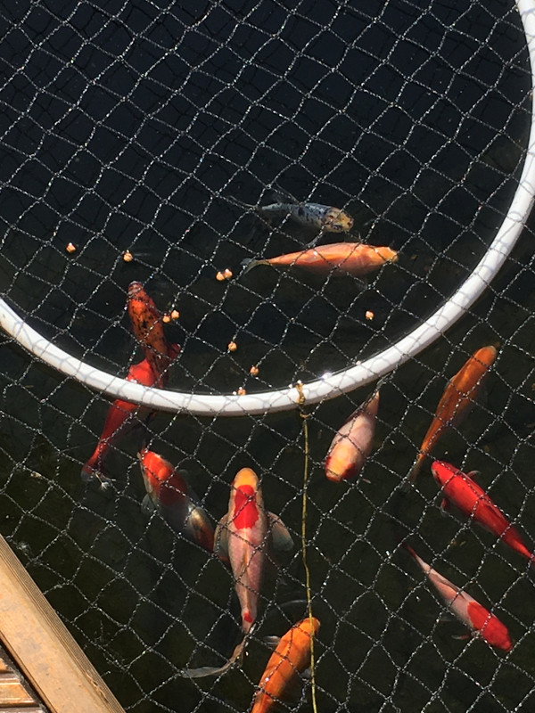 64648DAB-0375-4437-A626-1C5A7DE883F0