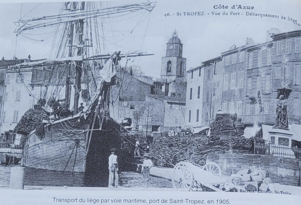 C262308B-6D26-4BF0-8FC7-7F9CAE0676F7