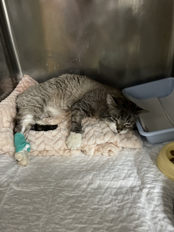 4EA651BE-ECFF-4611-AE91-C9215E663AA8