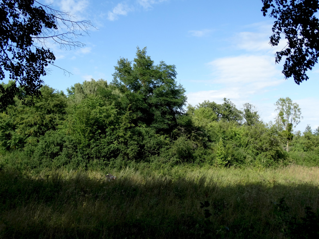 22.20 - DSC07619 (Czesio1)