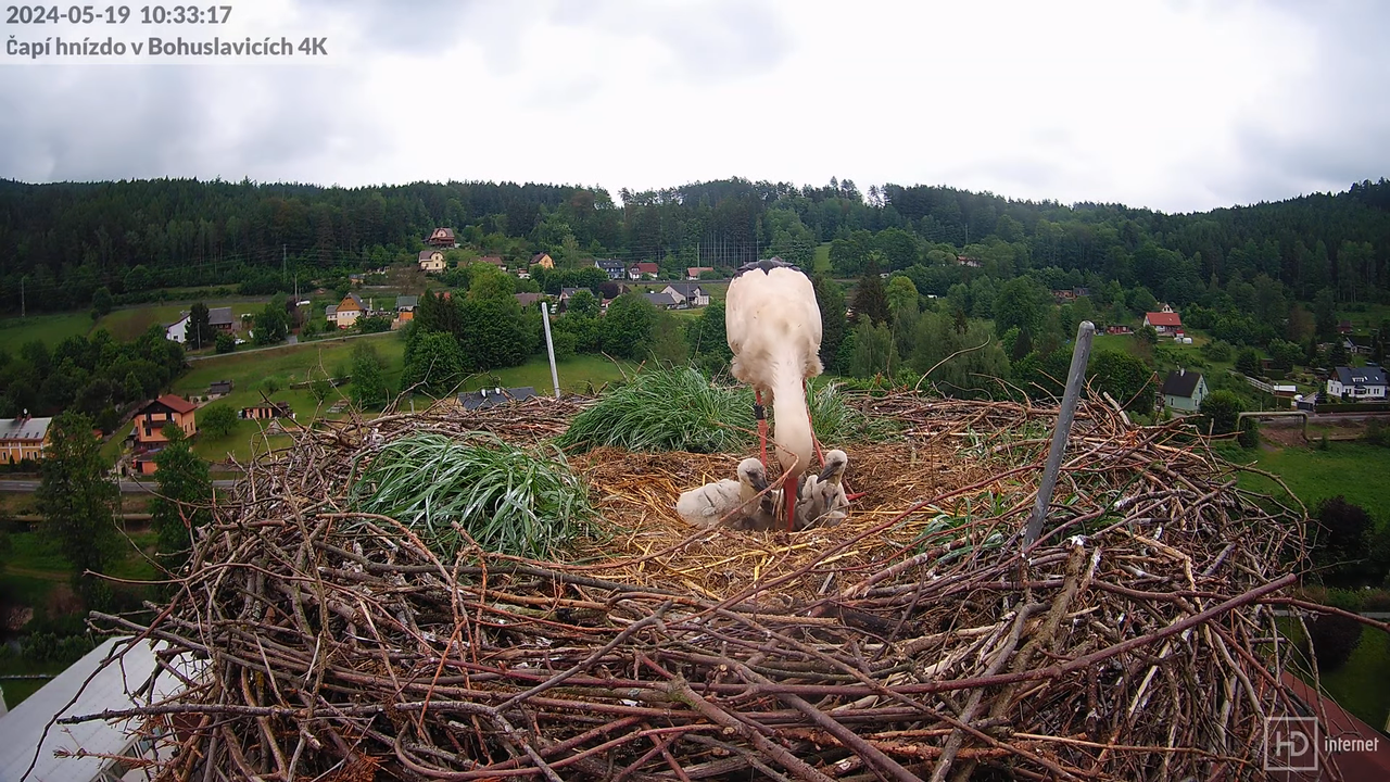 Tiešraidē no uzņēmuma KARA stārķa skursteņa Bohuslavicē pie Trutnovas 9-21-57 screenshot