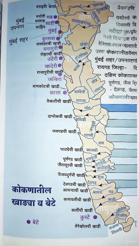 Maharashtra District Map with Borders