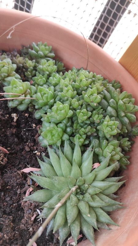 WhatsApp Image 2022-05-12 at 1.40.11 PM