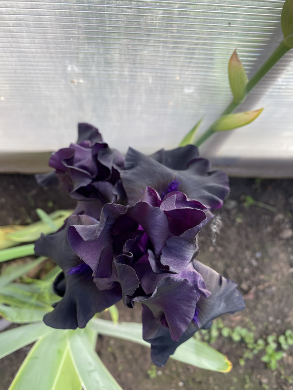 4602318C-BDAB-4D18-9594-DE09C555B47E