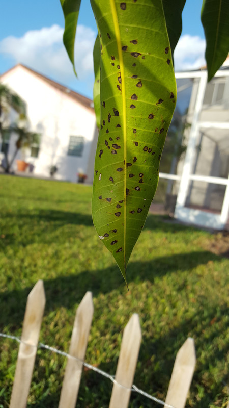 20180414_184707