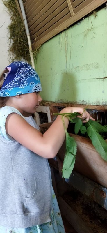 IMG-20230724-120421-067