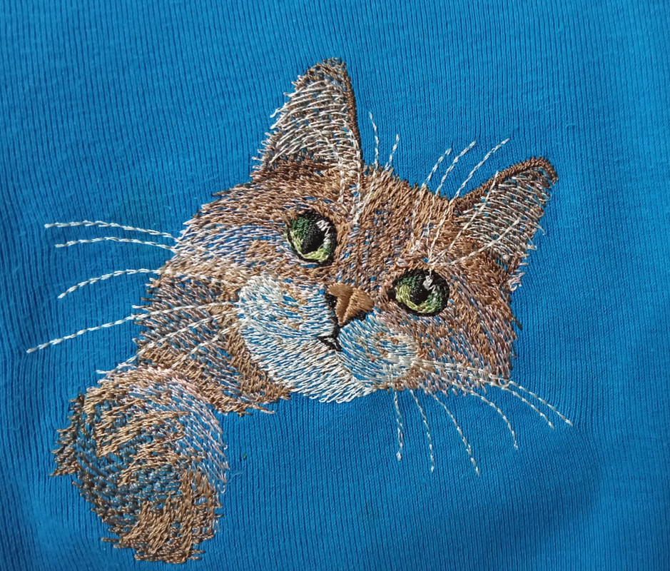 IMG_20220331_195333 (1)