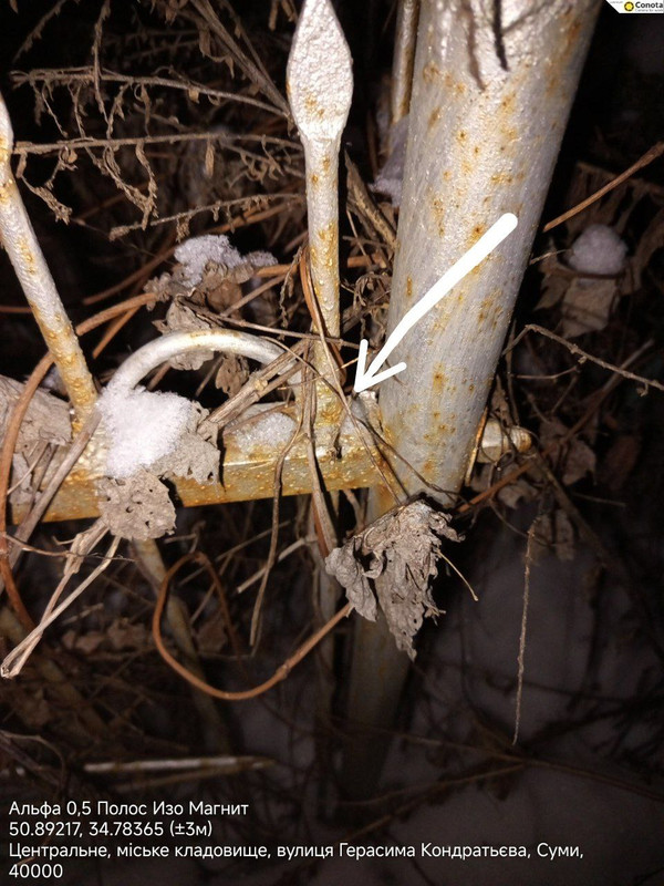 IMG 20260113 094933 195