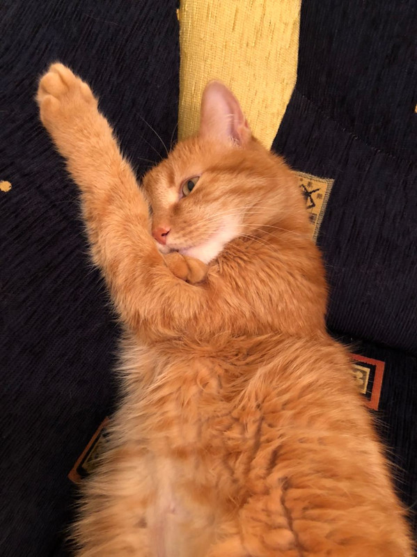 9D425F7F-54B7-4CC8-9E6F-1C36DBDFD801