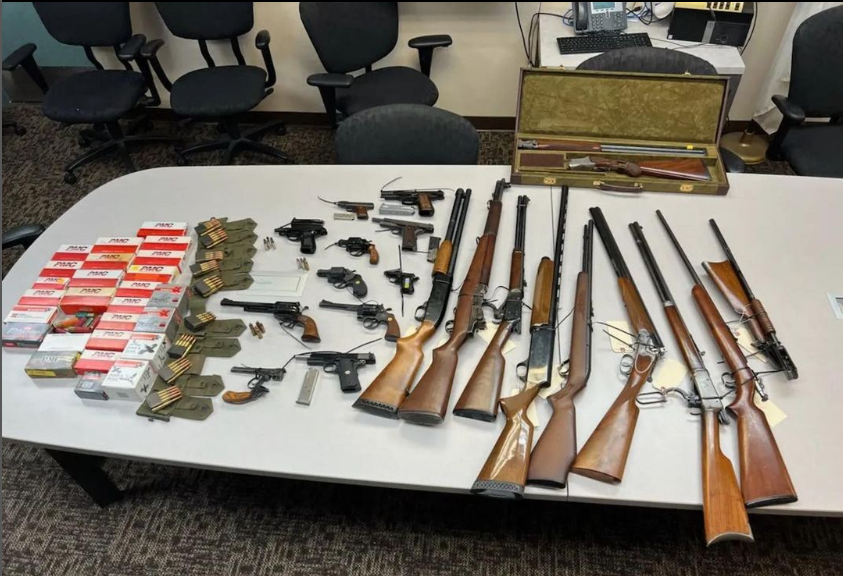 lasd-guns.png
