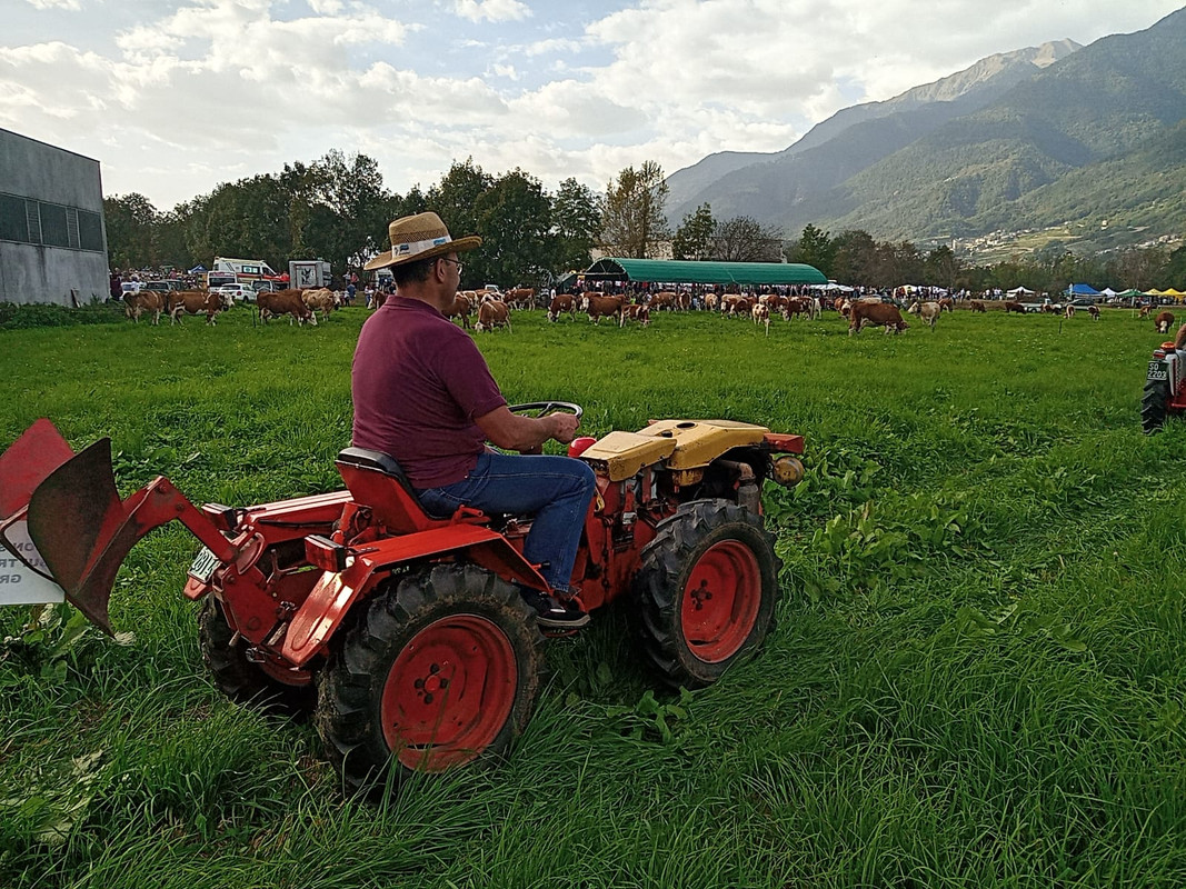 Scargaamuut 2023 (29)