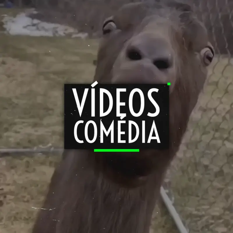 VÍDEOS COMÉDIA