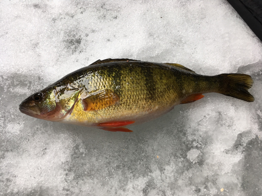 3CE68069-D72A-40C2-B6B6-428F231D6A4B