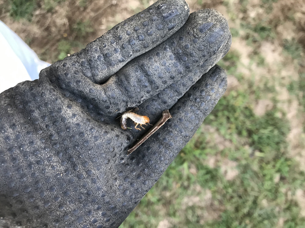 B800D8CF-1EED-4580-B28C-7D56FBBDD2B4