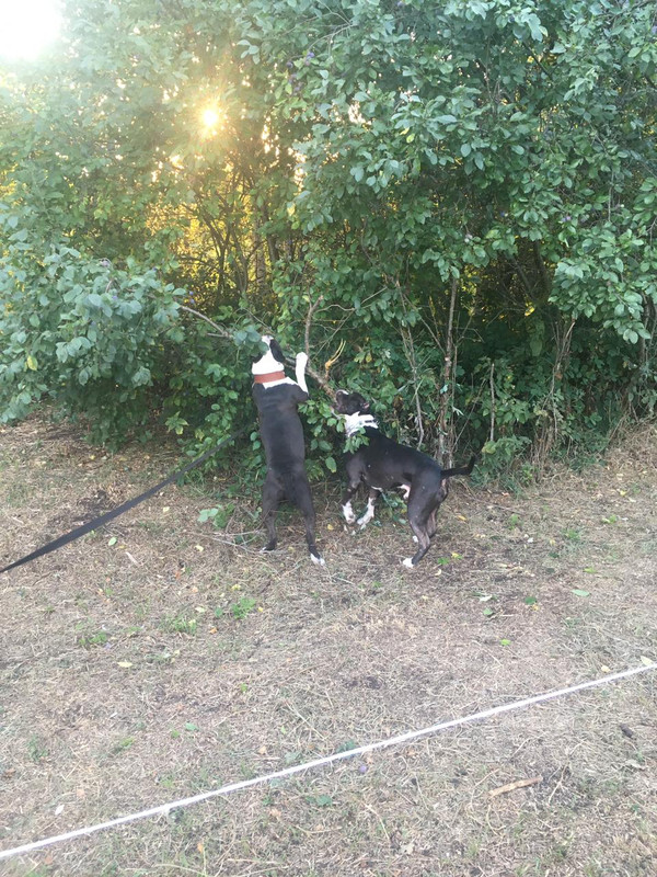 ADF201F6-0682-4AFB-A691-21A8294689F1