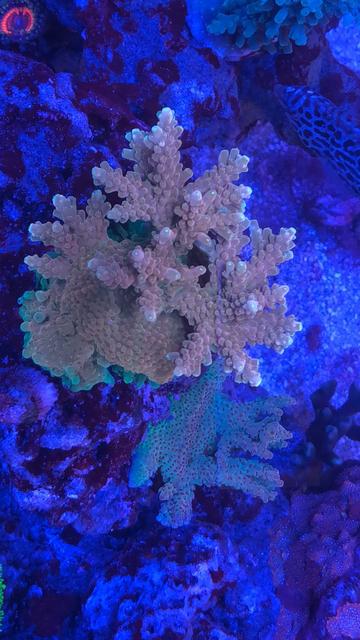 E3D7C51F-4E4B-4072-83E0-E2B04E0FE643