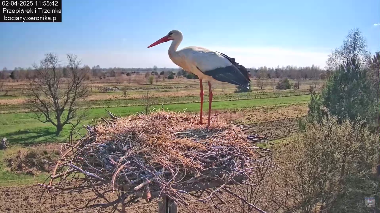 02042025krotkawizytabocka_9