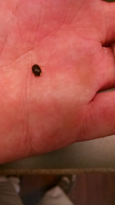 IMG_20170708_145424847