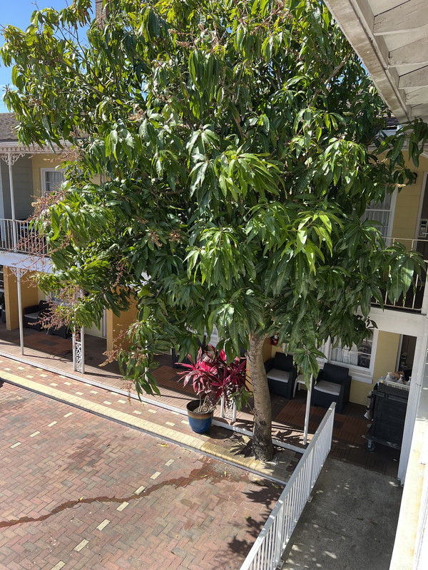 17145BB8-241F-4277-870D-47E0C4D1103B