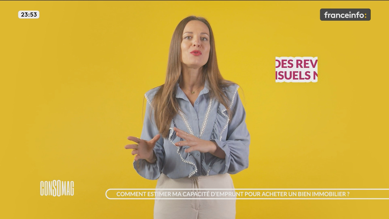 23h info (Franceinfo) 2025 11 30 21 54 28 ts snapshot 01 00 19 733