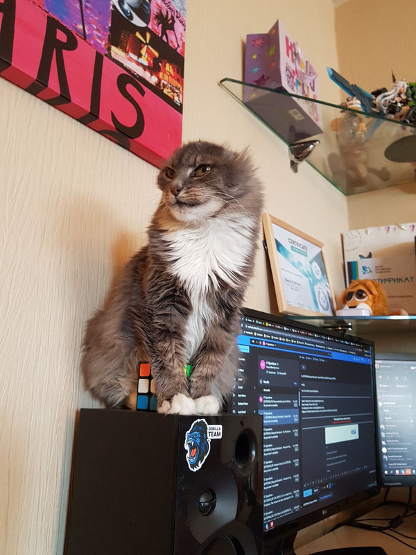 7A4EE585-8137-444A-8B89-0E30438570F0