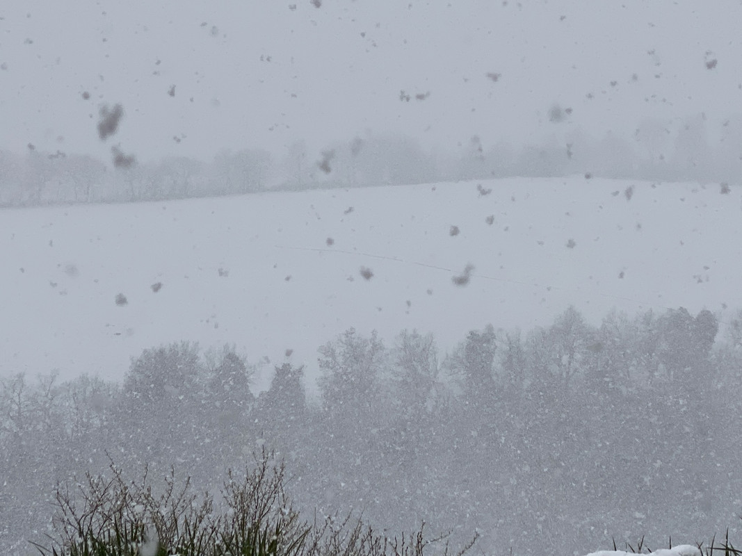 0DB44325-E265-4981-A40D-3A9E0F7E3283