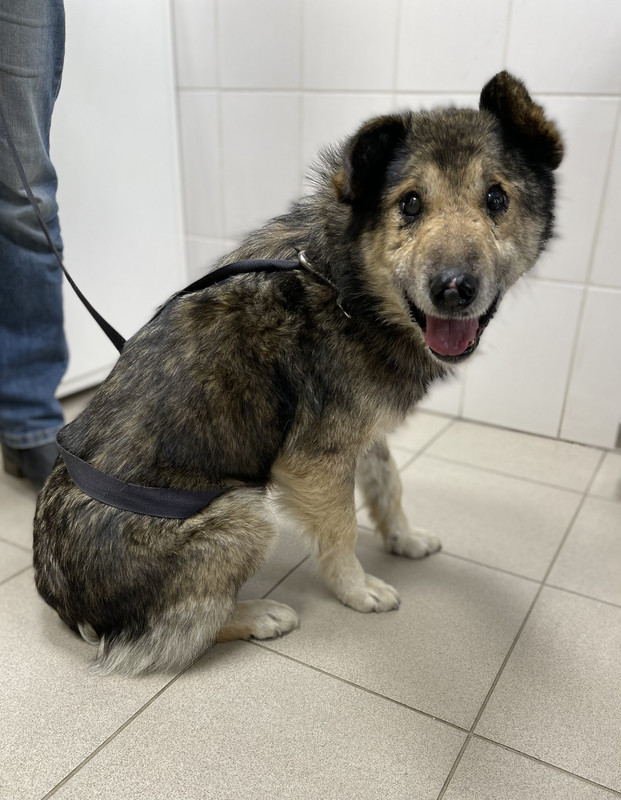 1C68F2ED-A280-4166-BDAD-59E2F91ADD81