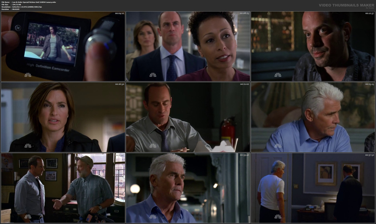 Law & Order Special Victims Unit S10E04 Lunacy.mkv