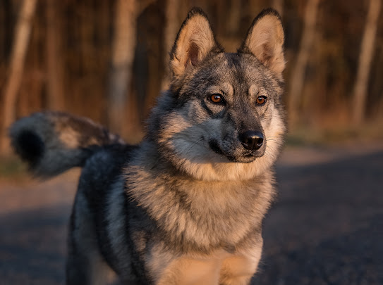 изображение_viber_2022-01-10_11-24-50-146