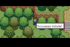 [Immagine: successo-totale.png]